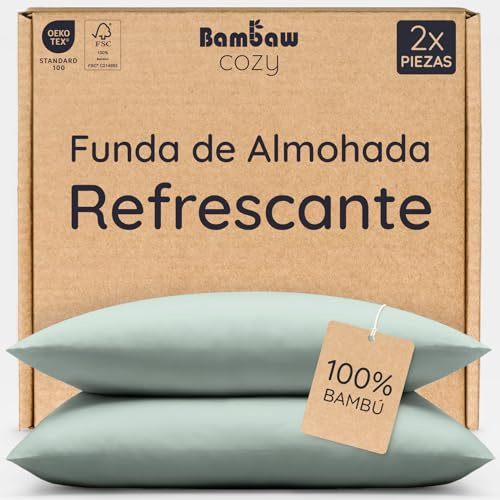 Bambaw Taie d'oreiller en Bambou 65x65 cm, Lot de 2, Taie Oreiller Anti Acariens et Respirante, Drap en Bambou, Bon pour Les Cheveux et Le Visage, Drap Fraicheur Hypoallergénique (Vert d'eau)
