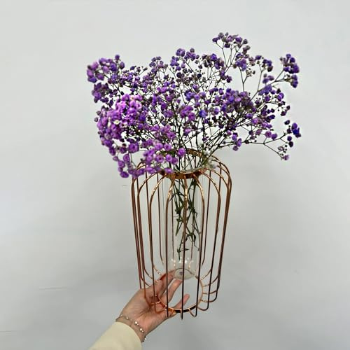 500 pz Semi di Gypsophila - Fiori, aiuola di erbe (Gypsophila panicolata) Semi di fiori, piante Regali sostenibili per le donne Semi di pascolo per api Semi di fiori di campo perenni