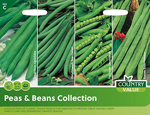 Peas & Beans Collection by Country Value Vegetable Seeds