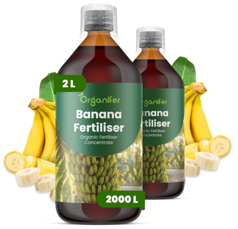 Engrais Liquide Pour Bananiers - 2x1L - 2-1-8 NPK | Favorise Croissance Vigoureuse Et Feuilles Saines - Organifer