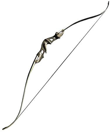 Recurve Bogen Pfeile Anfänger Bogenschießen Takedown Recurve Bow Arrow Set, Jagd Schießen Fischerei -Trainingstraining -Wettbewerb Langbogen for Jugendliche Und Erwachsene (Size : 20lbs)