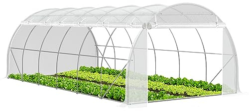 VOUNOT® Gewächshaus Foliengewächshaus, Seitenwände Aufrollbar Winterfest, Tomatenhaus Folientunnel, 6x3x2m 18m², Weiß