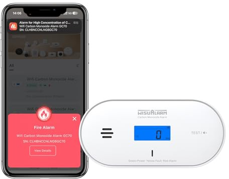WISUALARM Smart WiFi Carbon Monoxide Detector with App Alerts, EN 50291-1 & EN 50291-2 Certified CO Alarm for Home, Caravan & Motorhome, 3-Year Battery Operated, Temperature & Humidity LCD Display
