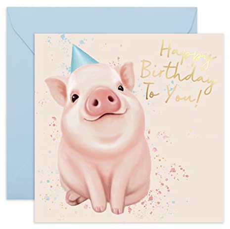 Central 23 - Grattis på födelsedagskort för män och kvinnor - 'Pig in Party' hatt - humoristisk design - levereras med roliga klistermärken
