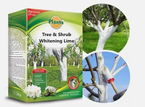 Whitening Lime for Trees & Shrubs 1kg Frost Sunscald Pest Protection Soil Care
