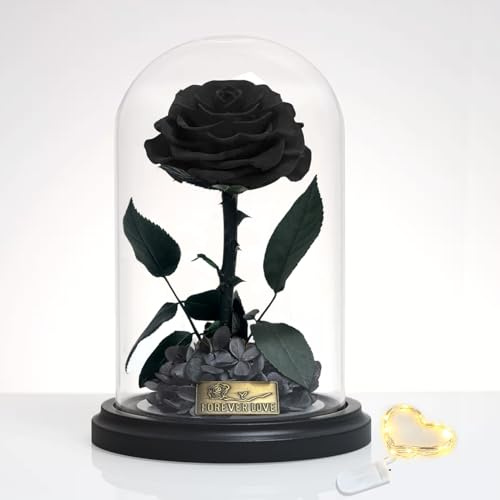 Ewige Rose im Glas mit LED, Echte Infinity Rose in Einer Glaskuppel mit Einer Geschenkbox Geschenke Konservierte Blumen für Frauen Mama Oma Freundin Muttertag Valentinstag Weihnachten (Schwarz)