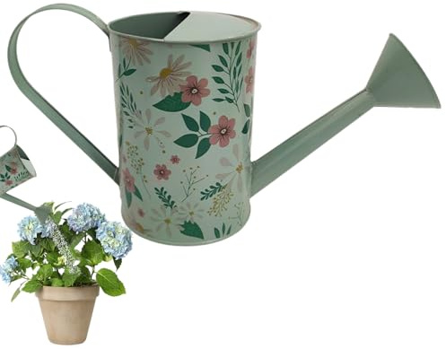 Annaffiatoio da esterno – 2 l, piante da interno, attrezzi da giardino decorativi vintage, piccoli annaffiatori per fioriera, casa, giardino, cortile, sentiero