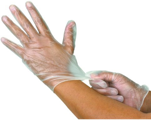 1000 (10 Box) x Vinyl Latex Powder Free Gloves Disposable Clear Food Medical etc. (Medium)