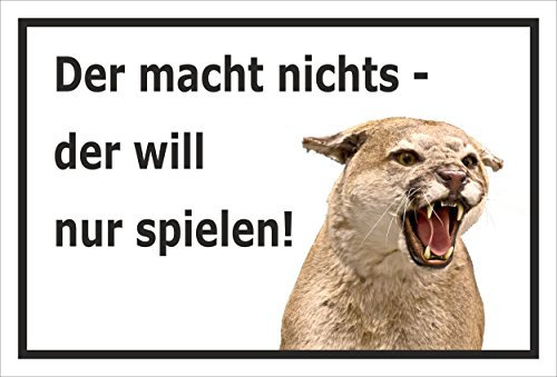 Melis-Folienwerkstatt Schild Vorsicht Katze – Der Macht Nichts, der Will nur Spielen – Katzenschild - 30x20cm Hartschaum Aluverbund -S312G