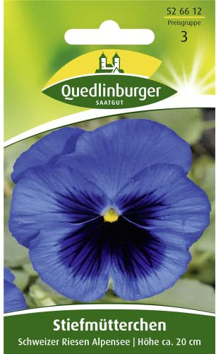 Quedlinburger Stiefmütterchen blau 'Schweizer Riesen', 1 Tüte Samen