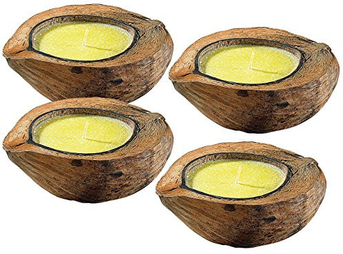 infactory Insektenschutz Kerze: Anti-Mücken-Kerzen in Kokosnuss-Schale (4er Set) (Anti Insekten Kerze, Antimückenkerzen, Moskitonetz)