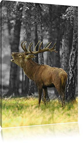Pixxprint röhrender Hirsch im Wald B&W, Größe: 120x80cm, Leinwandbild, fertig gespannt, Wandbild, Dekoration, Kunstdruck, kein Poster