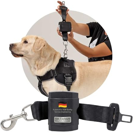 Hundesicherheitsgurt Auto – Anschnallgurt Hund mit Edelstahlkarabiner