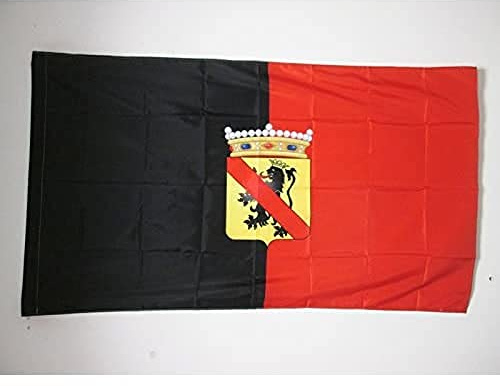 AZ FLAG Bandera Provincia de Namur 150x90 cm Belga Poliéster 100D Funda | Uso interior y exterior Enseña Provincie Namen costuras dobles y bordes reforzados con funda para mástil