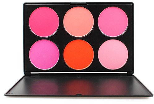 FantasyDay Professionelle 6 Farben Gesicht Puder Rouge Blush Palette Make Up Kosmetik Set - Ideal für Sowohl den Professionellen als auch Persönlichen Gebrauch