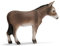 Schleich 13644 - Bauernhof, Esel