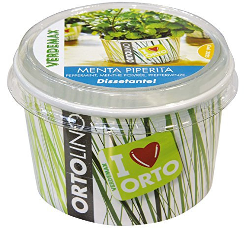 Verdemax 2025 - Kit di Menta piperita Ortolino, Colore: Bianco/Verde
