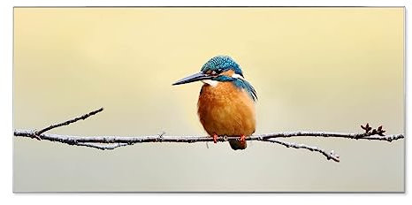 banjado® Magnettafel silber 78 x 37cm / Magnetwand aus Metall/Magnetpinnwand Memoboard/Pinnwand Magnettafel Küche, Büro, Kinderzimmer inkl. 4 Magnete & Montageset Motiv Pause