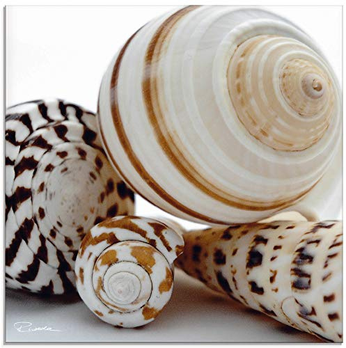 ARTLAND Wanddeko Glasbilder Wandbild Glas Bild einteilig 40x40 cm Quadratisch Natur Tiere Muscheln Strand Meer Urlaub Maritim T5ER