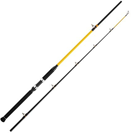 WFT Welsrute Angelrute Angeln - Never Crack Catfish Boat LTC 2,10m 250-1000g