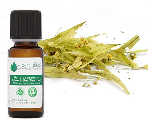 VOSHUILES - Huile Essentielle Arbre à Thé 125ml - Parfum Légèrement Piquant- Citronné- Boisé et Terreux - 100% Pure et Naturelle - HEBBD - Entreprise Française