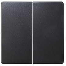 Simon - 82026-38 tecla grupo 2int-conmut-pulsadores s82 grafit Ref. 6558238203