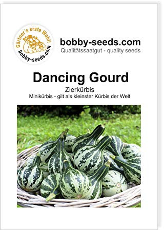 Dancing Gourd Zierkürbis von Bobby-Seeds, Portion