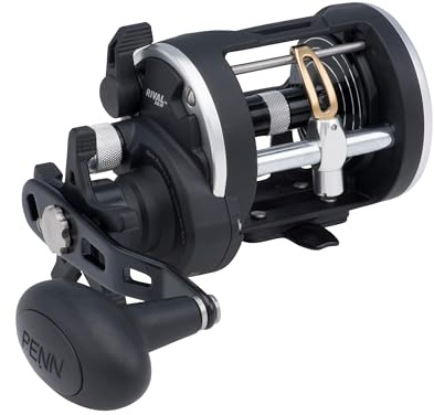 PENN Rival Level Wind Conventional Boat Fishing Reel, HT-100 Star Drag, Max of 15lb | 6.8kg, Forged and Machined Aluminum Spool, RIV20LW, Black