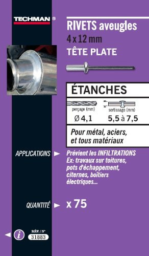 RIVETS ETANCHES 4X10 (75)
