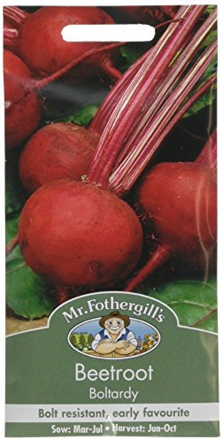 Mr Fothergill's 11723 Beetroot Boltardy Seeds, red