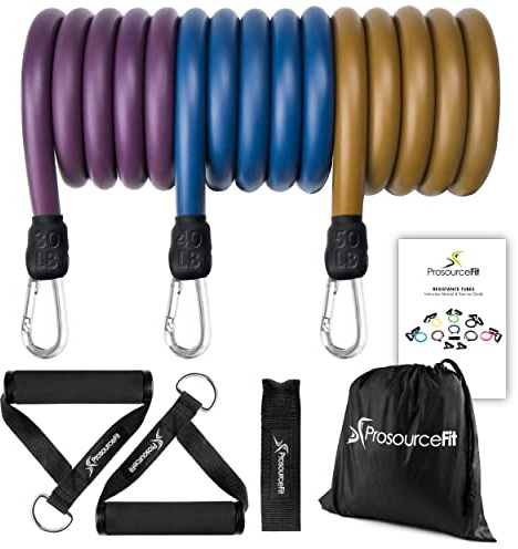 ProsourceFit Resistance Bands Set Exercise Guide Full-Body Exercises and Home Workouts