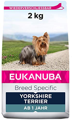 Eukanuba Breed Specific Yorkshire Terrier Trockenfutter, 2 kg | Premium Hundefutter mit Huhn | optimal auf die Rasse abgestimmtes Futter | für eine gesunde Haut und glänzendes Fell