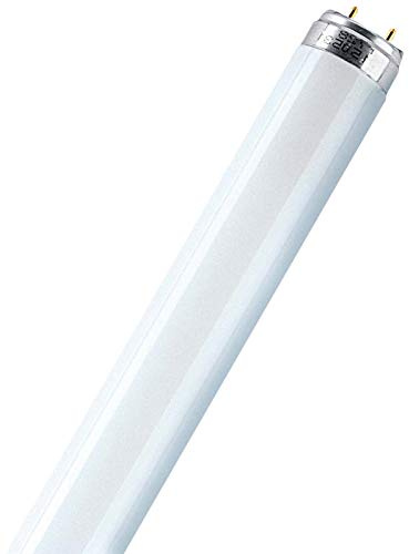 Osram Lumilux T8 G13 L 15 W/830 Lampada fluorescente
