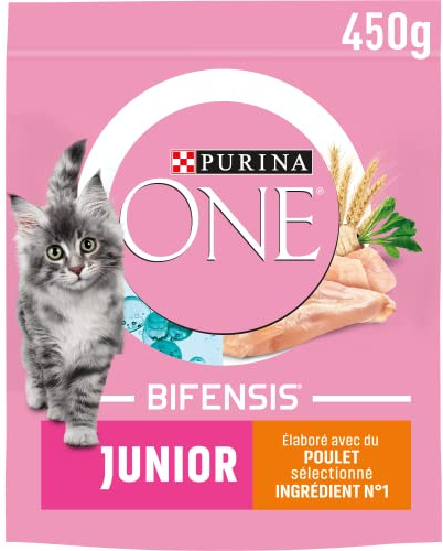 PURINA ONE | BIFENSIS JUNIOR | Chaton jusqu'à 12 mois et Chattes en Gestation | Croquettes | Aide au développement sain des fonctions vitales du Chat | Au Poulet | Sac | 450g