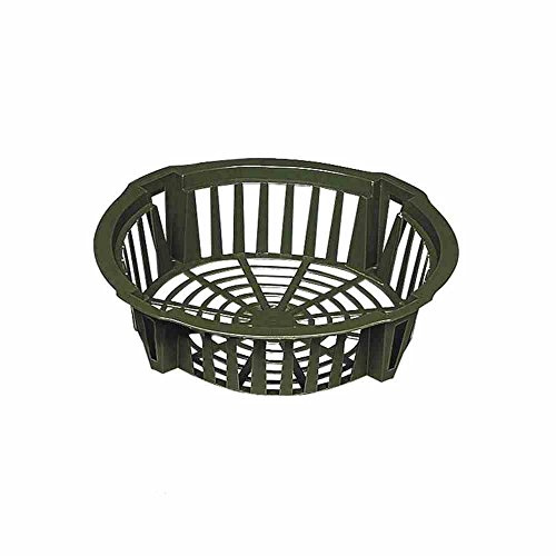 ROMULUS 0 Blumenzwiebelpflanzschale 26x28x7 cm, eckig 3er-Set (E307000)