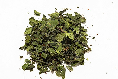 Garnelen Tom Nano Birken Laubblätter (grün getrocknet), 40 Blätter