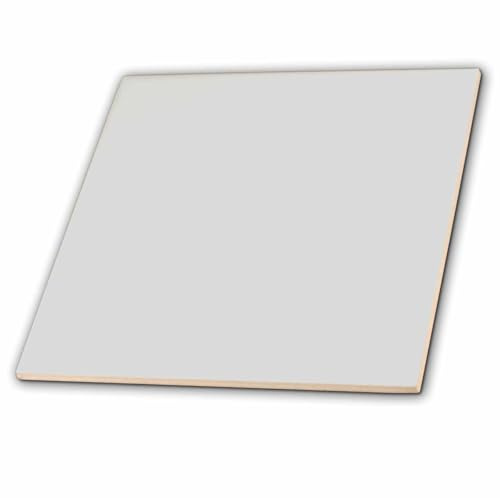 3dRose ct_159863_4 Light Gray Matte Silver Grey Plain Simple One Single Solid Color Modern Contemporary Ceramic Tile, 12-Inch