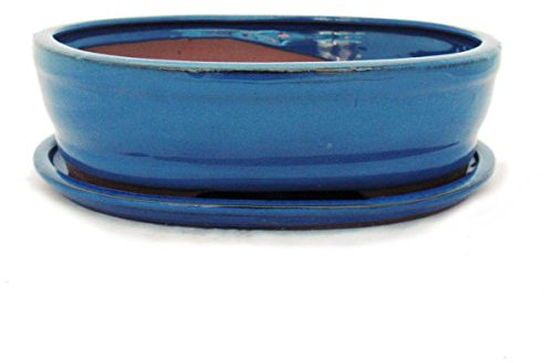 exotenherz - Bonsai-Schale mit Unterteller Gr. 4 - Blau - oval - Modell O7 - L 26cm - B 21cm - H 7,5cm