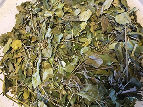 Moringa - Foglie di vitamine + sostanze nutritive puro - Mangime per gamberetti, granchi e granchi & Co