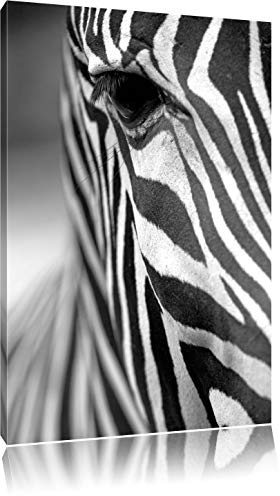 Pixxprint Zebra Nahaufnahme, Größe: 80x60cm, Leinwandbild, fertig gespannt, Wandbild, Dekoration, Kunstdruck, kein Poster