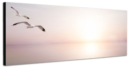 Paul Sinus Art Panoramabild auf Leinwand und Keilrahmen 120x40cm Meer Sonnenlicht Möwen abstrakt