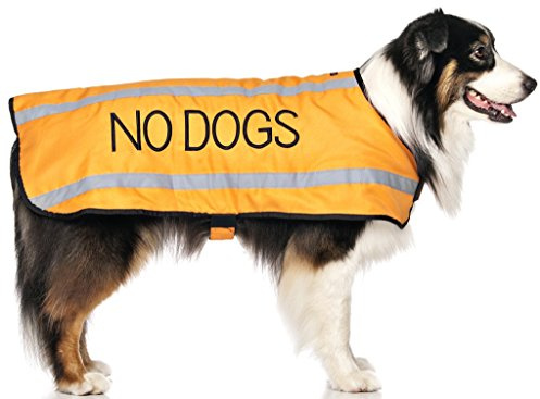 Inga hundar (inte bra med andra hundar) orange färgkodad S M L reflekterande vattentät fleecefodrade varma hundrockar förhindrar olyckor genom att varna andra om din hund i förväg (M-L)