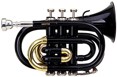 Classic Cantabile Brass TT-400 Bb-Taschentrompete (Messing, Schallbecher Durchmesser: 93 mm, Bohrung: 11,8 mm, Stimmung: B, inkl. Leichtkoffer, Mundstück, Putztuch, Handschuhe) schwarz