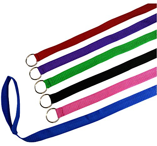 Downtown Pet Supply - 6ft Dog Kennel Slip Lead - Veterinarian, Grooming, Daycare & Rescue Supplies - One Size Leads for Dogs Bulk - 1 Thick 24 Pack