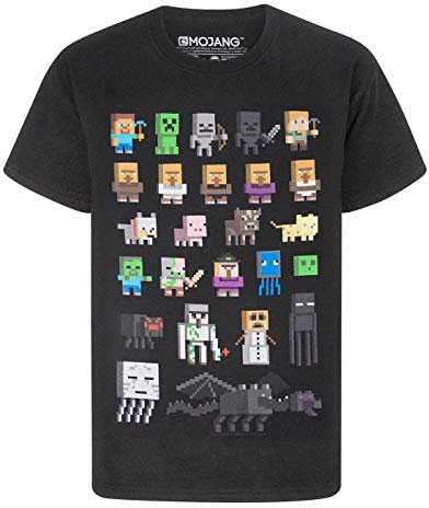 Minecraft Sprites Boy's T-Shirt, 5-6 Years, Black