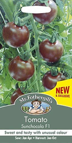 Mr Fothergill’s UK/FO/VE Tomato Sunchocola F1