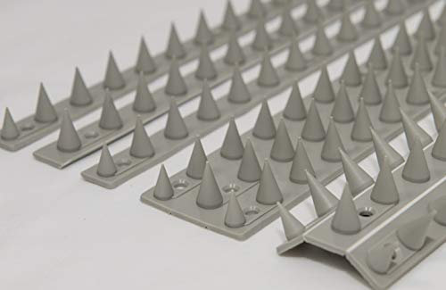 the Cactus Fence Wall Spikes: Pack of 20 (9.0M to 27M) – STONE