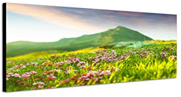 Augenblicke Wandbilder Keilrahmenbild Wandbild 150x50cm Wiese Blumen Berge Frühling Natur