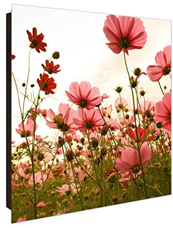 banjado Großer Schlüsselkasten Glas - Schlüsselbox 30x30cm mit 50 Haken - Schlüsselkasten modern für Schlüsselaufbewahrung mit beschreibbarer, magnetischer Glastür - Motiv Schmuckkörbchen