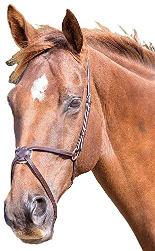 Shires Blenheim Grackle Noseband Pony Havana